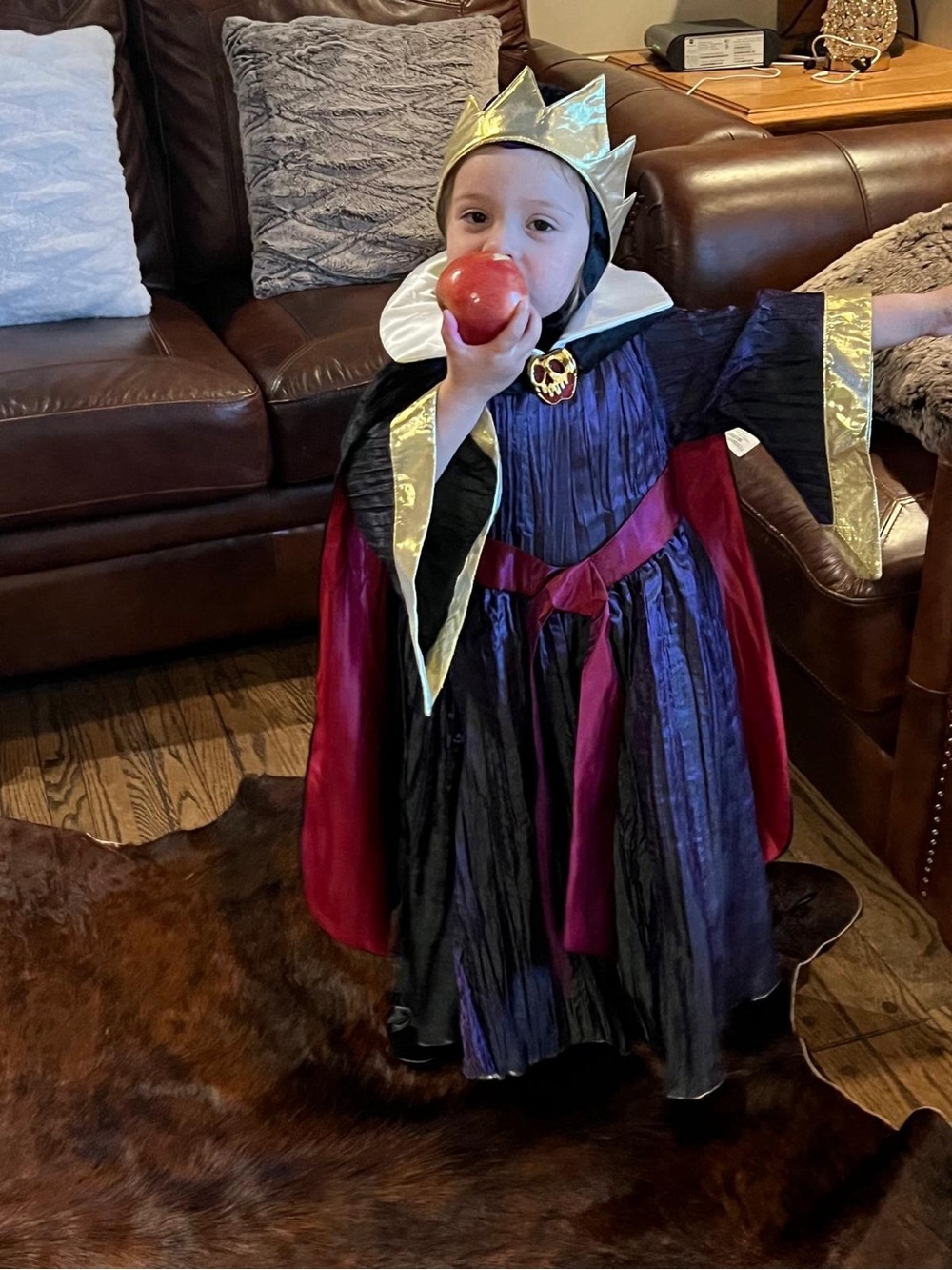 Disney Purple and Black Vampire Cape with Red Sash
